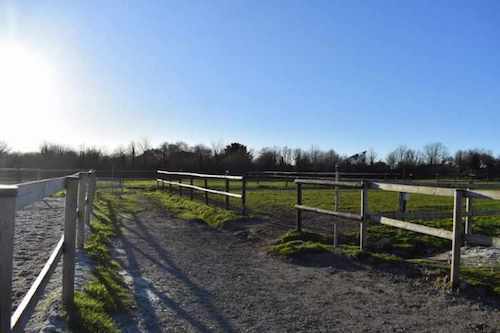 Les chevaux de propriétaires sont hébergés en boxes et disposent d’un paddock individuel