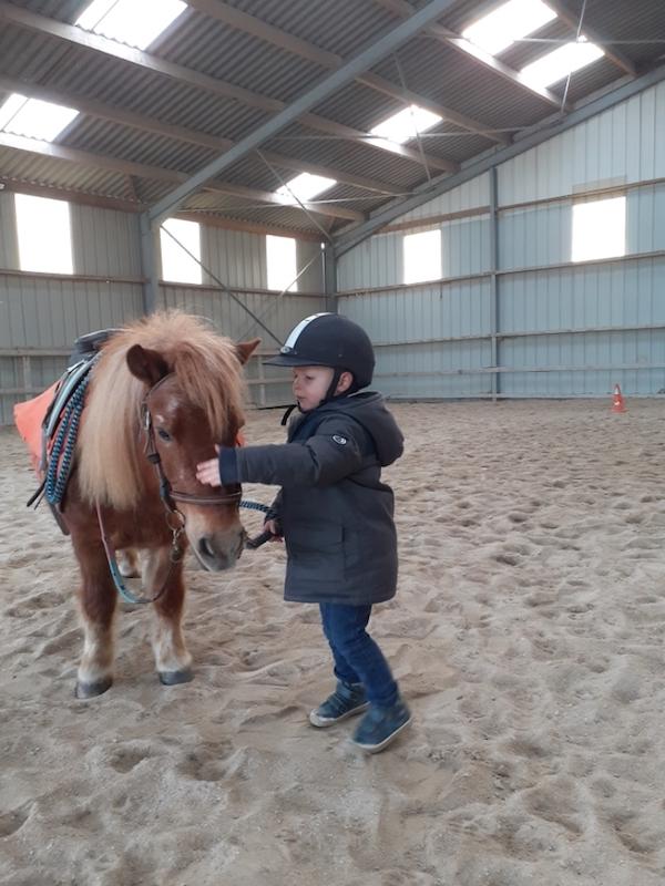 baby poney