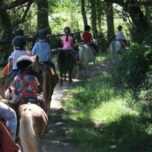 Balade à poney découverte