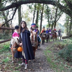 5 demi-journées de stage équitation Shetlands