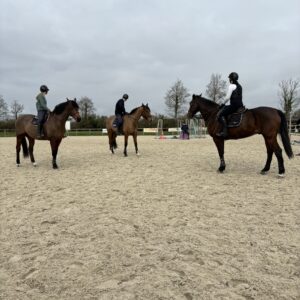 Stage galop 2 et + ( 4 jours )