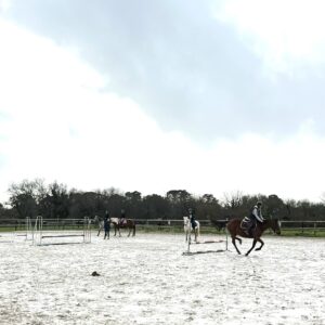 Stage 5 1/2 journée galop 2 et +